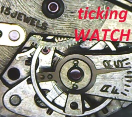 Logo tickingWATCH_2019
